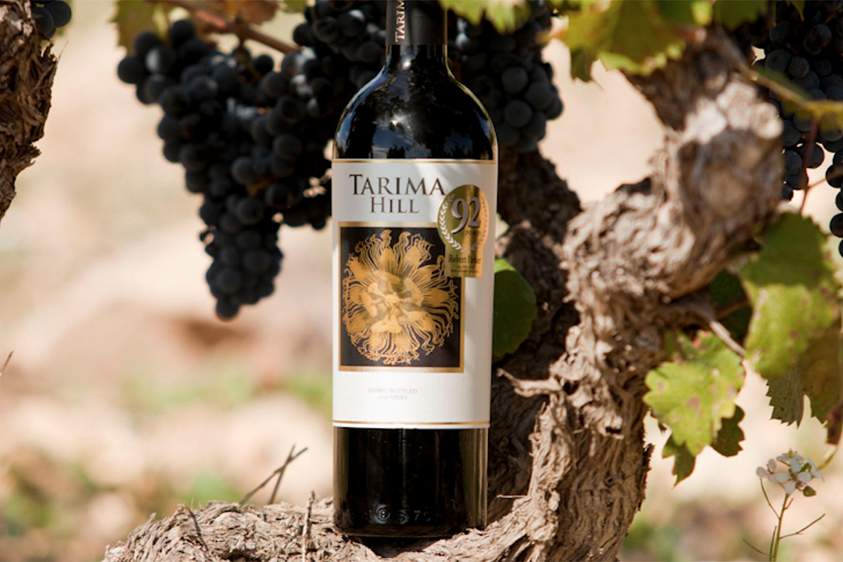 Tarima Hill 2017 entre los 100 mejores vinos del mundo «