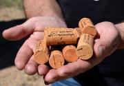 Una empresa castellonense logra crear los primeros tapones de vino bio