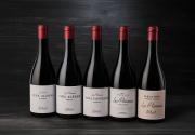 Bodegas Raíces Ibéricas arrasa en los Decanter con 24 medallas