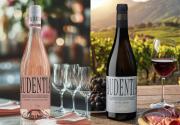 Celebra el Día Mundial del Aperitivo con la gama Audentia de Bodegas Murviedro