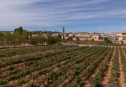Caudete de las Fuentes, un destino donde el vino y la historia construyen identidad