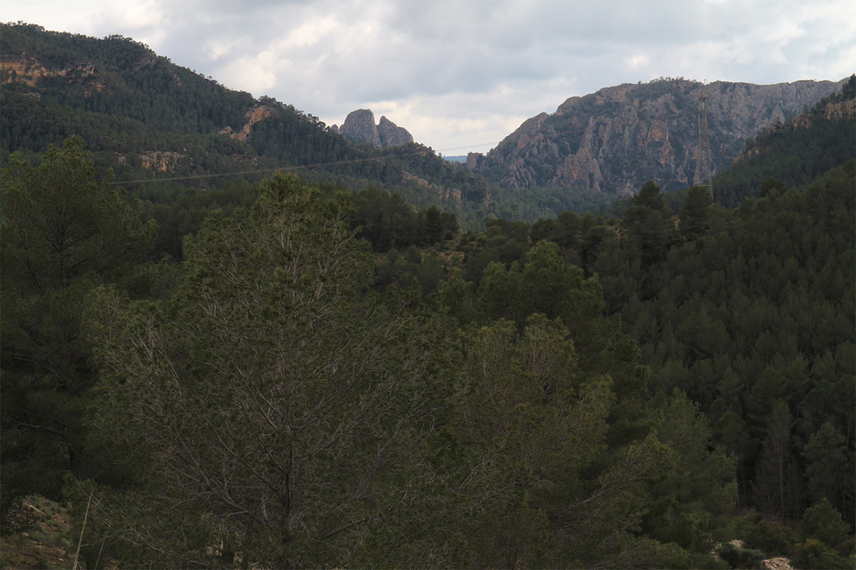 Paisaje con los Cuchillos al fondo.